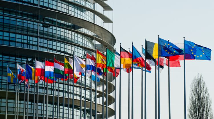 MEPs write to the European Commission to beef up Cocoa Talks with an Economic Pact across the value chain