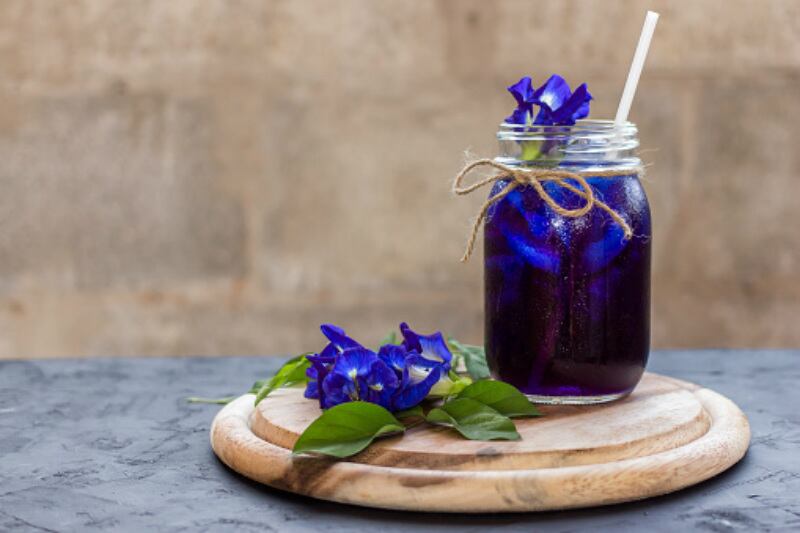 Butterfly-pea-blues-Taiwan-officials-warn-against-consumption-of-plant-but-permit-colouring-use.jpg