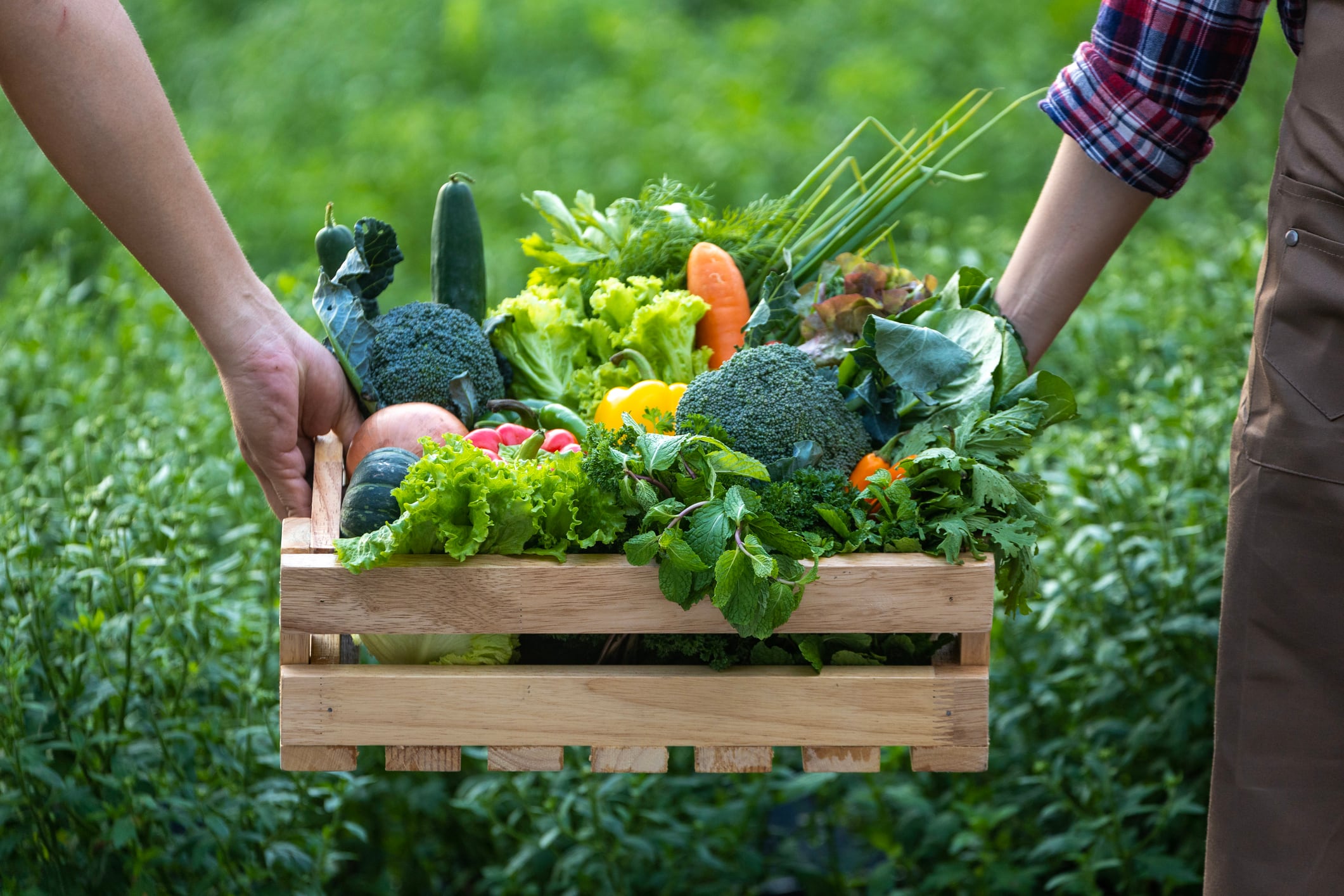 PTF boss Rod Addy called for the creation of a detailed farm to fork strategy in the UK.