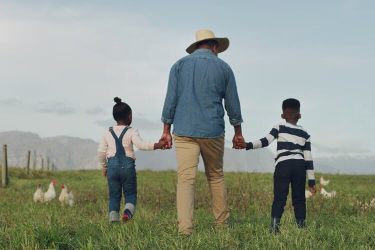 Agricultural support endangering development goals: ‘We are not acting fast enough’