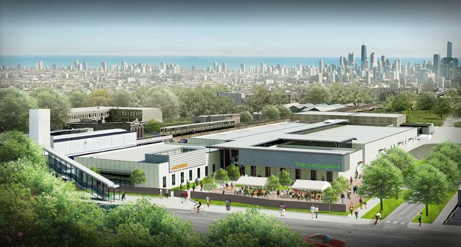 Mondelez-International-invests-in-Chicago-food-incubator-The-Hatchery.png