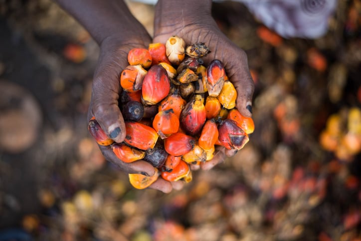 'Our food supply chains are currently not set up to maximise the potential of our food system': The start-up seeking to untap and transform Africa’s agricultural supply chain efficiency