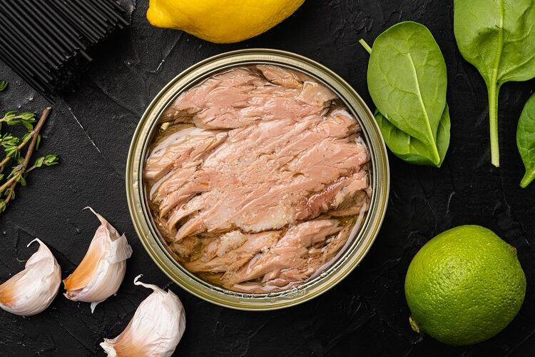 Meet the start-up making canned tuna without the fish: ‘We’re excited about the R&D potential of microalgae’