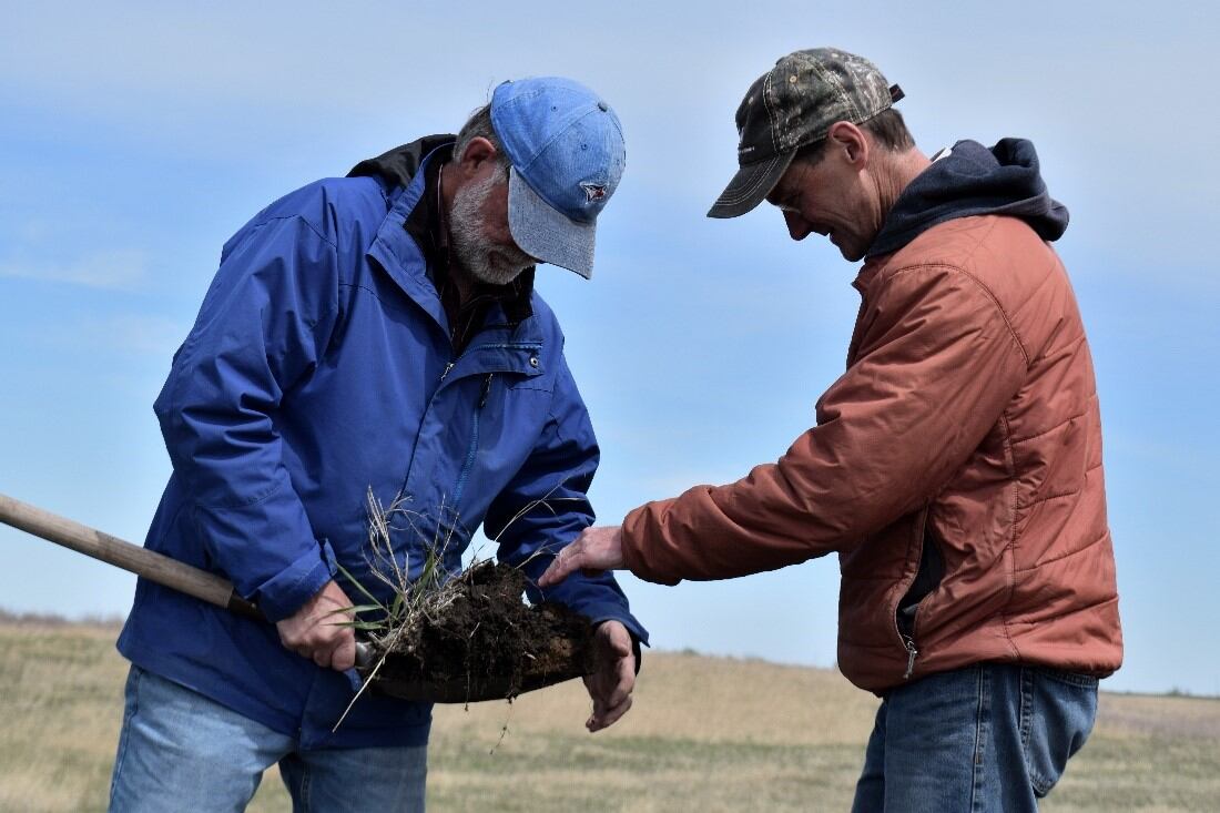 General Mills launches three-year regenerative dairy pilot project
