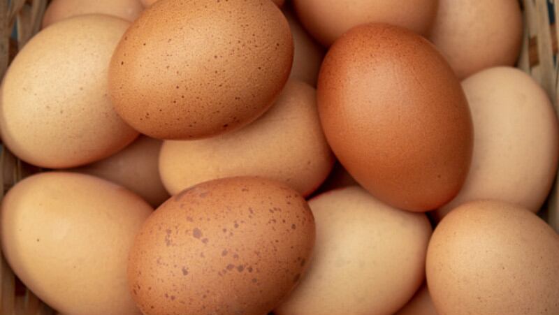 Taiwan-food-chiefs-hatch-new-egg-safety-plan-to-crack-down-on-fipronil-fears.jpg