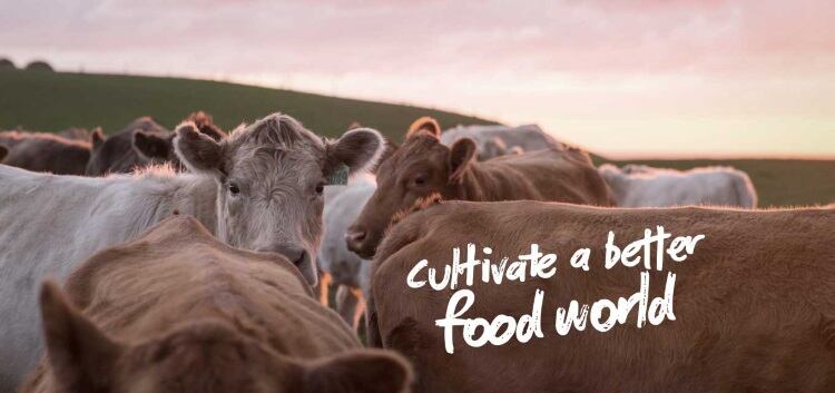 Flinders-Co-develops-carbon-neutral-plant.jpg