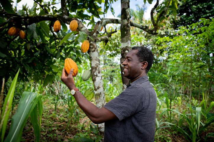 Cocoa leaders demand a fair price for all