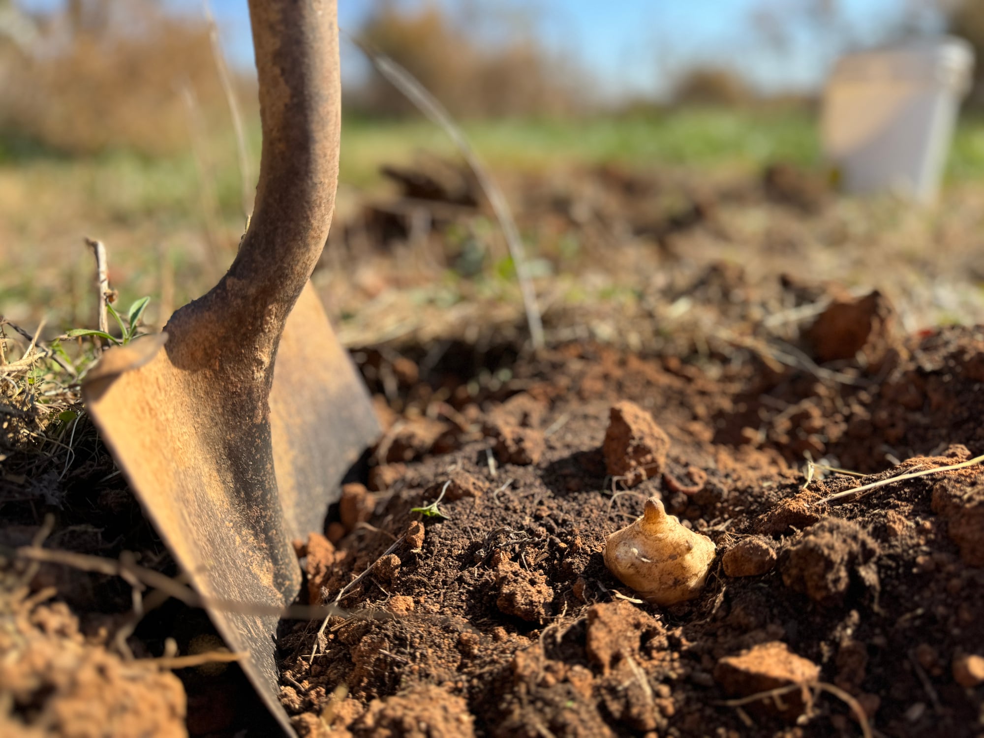Unilever and PepsiCo among companies in new regenerative agriculture initiative