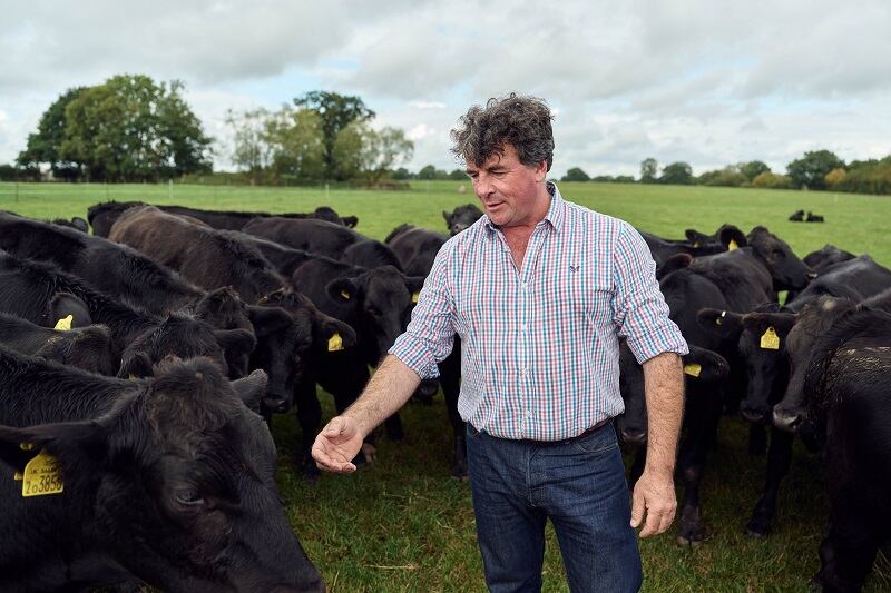 BUCK_Sainsburys_Aberdeen_Angus_4.jpg