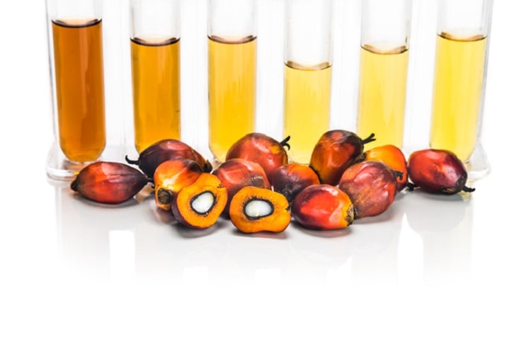 Start-up develops edible markers to prove sustainable sourcing