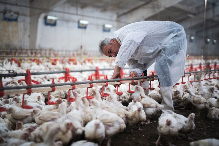 Tyson-s-iconic-chicken-segment-s-margins-tighten.jpg