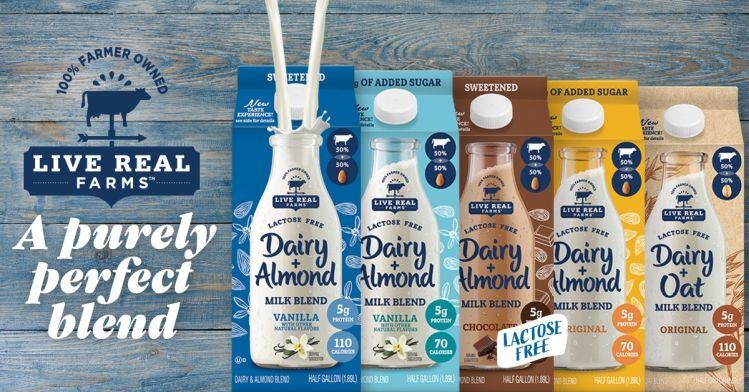 Dairy-milk-plant-based-milk-A-winning-combination-Live-Real-Farms-taps-into-blended-trend.jpg