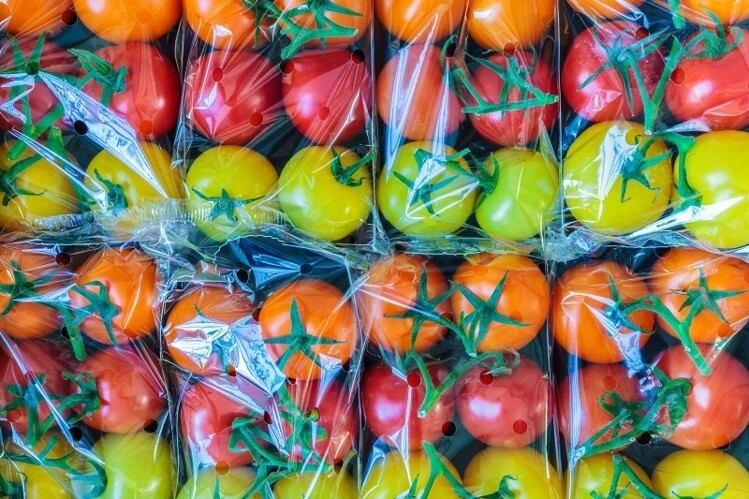Plastics, pollution, food safety and waste: ‘These issues are interconnected’