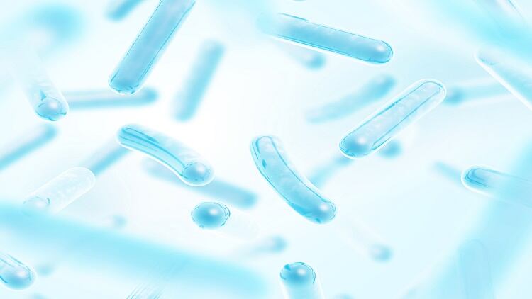 PepsiCo’s greenhouse accelerator: APAC’s only finalist to compete with probiotics for gut, immune health