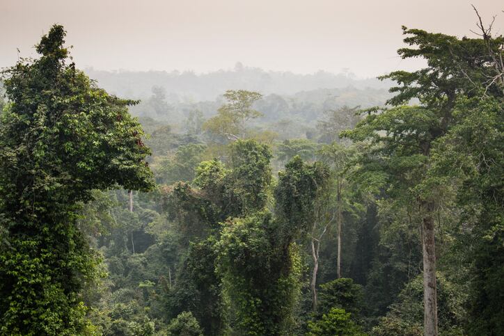 Kakum-forest-GettyImages-nicolasdecorte.jpg