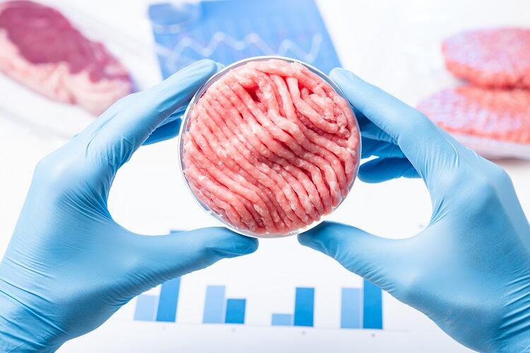 cultured-meat-nevodka.jpg