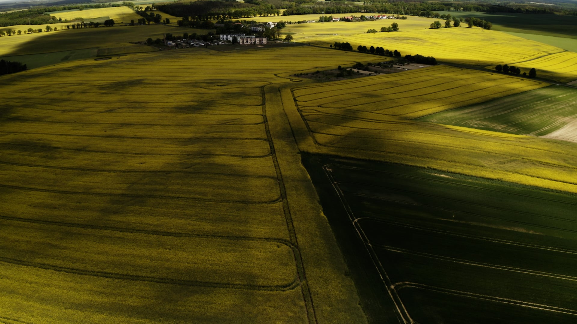 Regenerative farmland