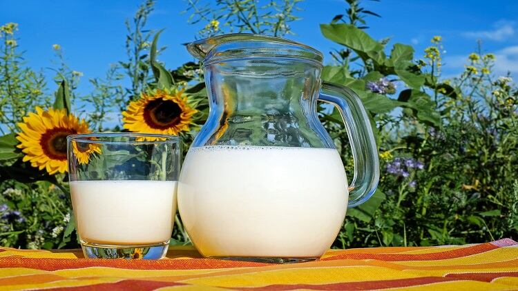 Japan-dairy-price-hikes-Three-major-brands-to-pass-on-increased-production-costs.jpg
