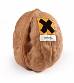 nut-allergy-istock-Daniel-Tero.jpg