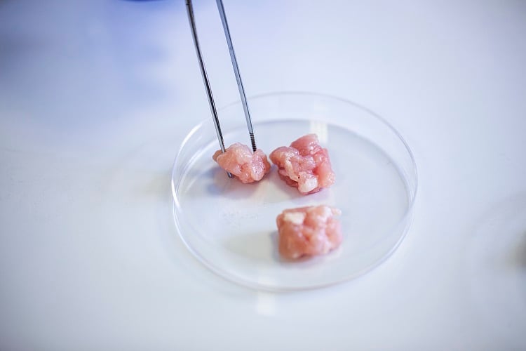 Is cultivated meat cost reduction possible? The industry speaks