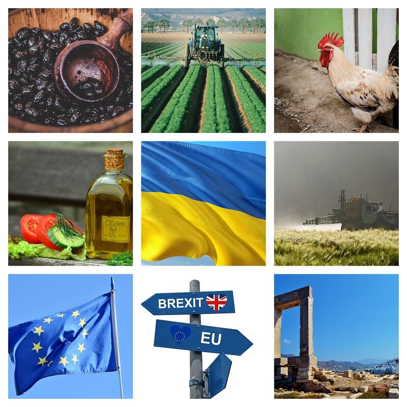 Brussels Bulletin