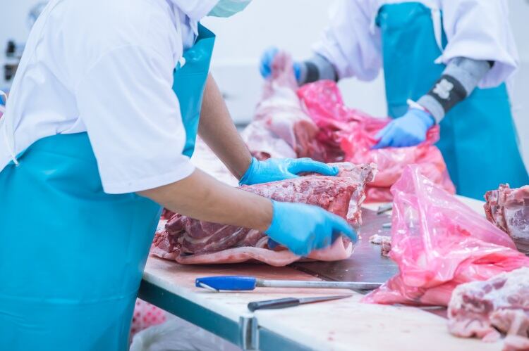 Dutch meat industry called on to introduce coronavirus testing