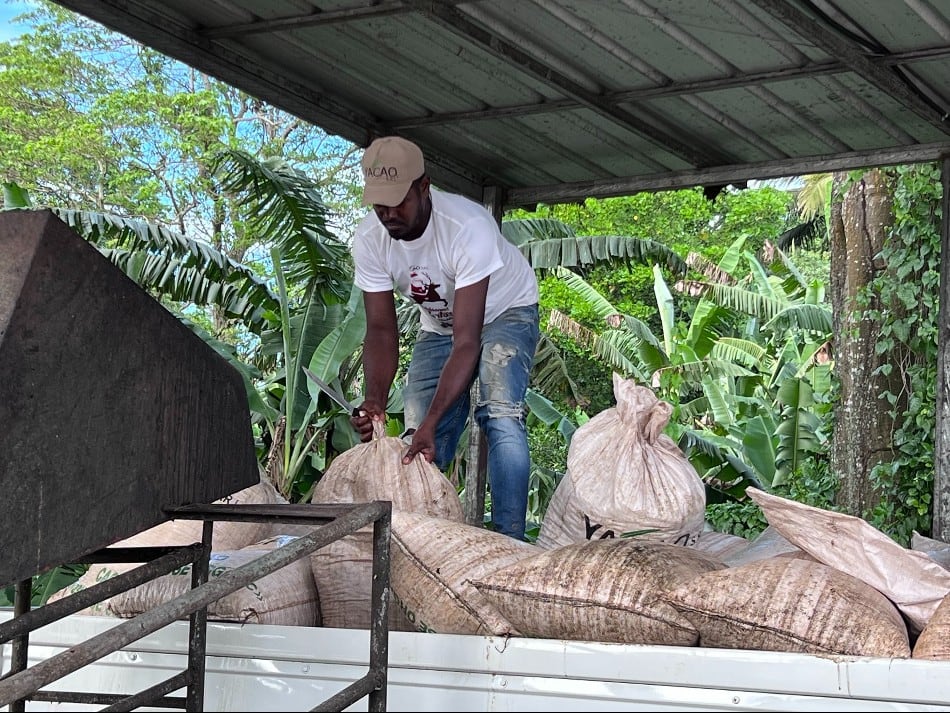 Global cocoa shortage puts pressure on suppliers and manufacturers