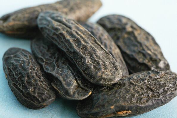 Venezuela: Givaudan continues sustainable tonka bean sourcing despite crisis