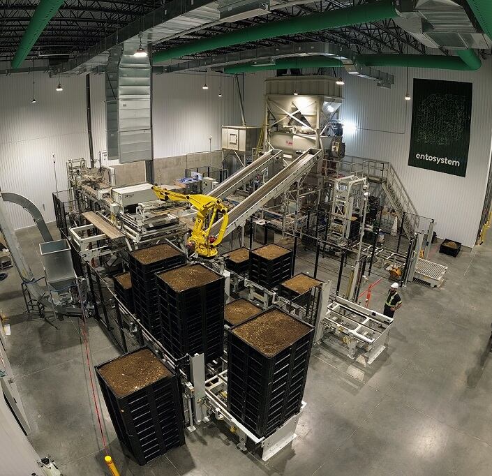 entosystem-inside-factory.jpg