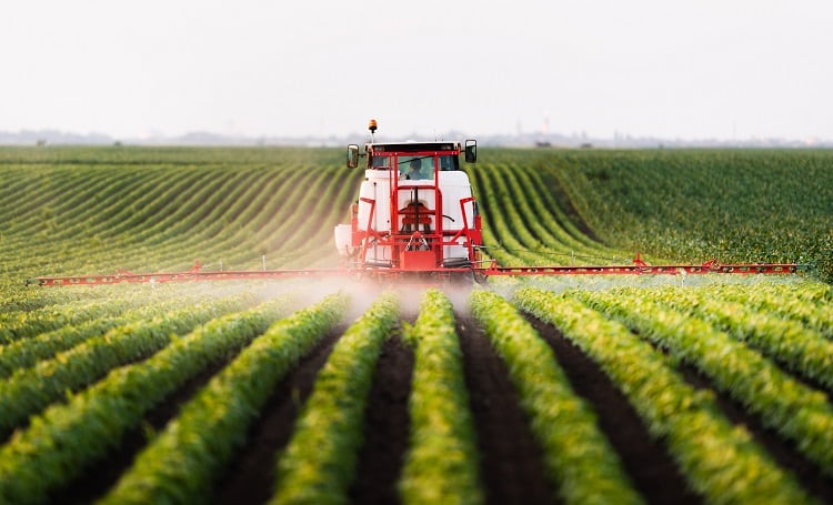 EU moves to cut pesticide use with legally binding targets, but are they strict enough?