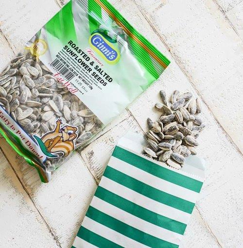 Ginni's subscription snacks