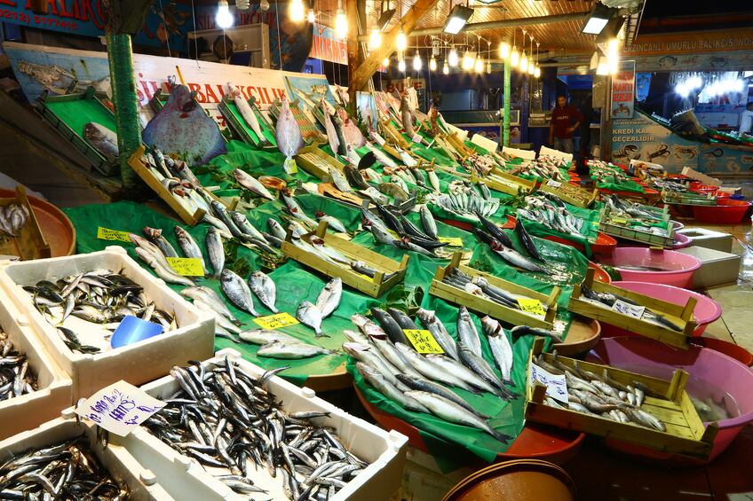 fish-market-istanbul-Copyright-Manakin.jpg
