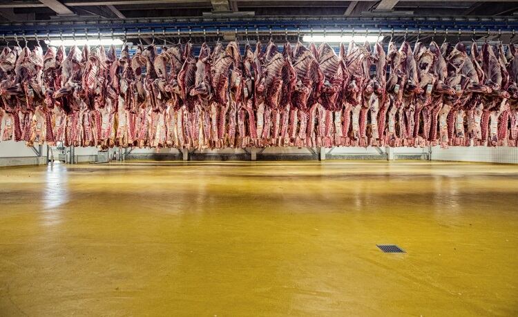 Changes made to Danish Crown Beef structure