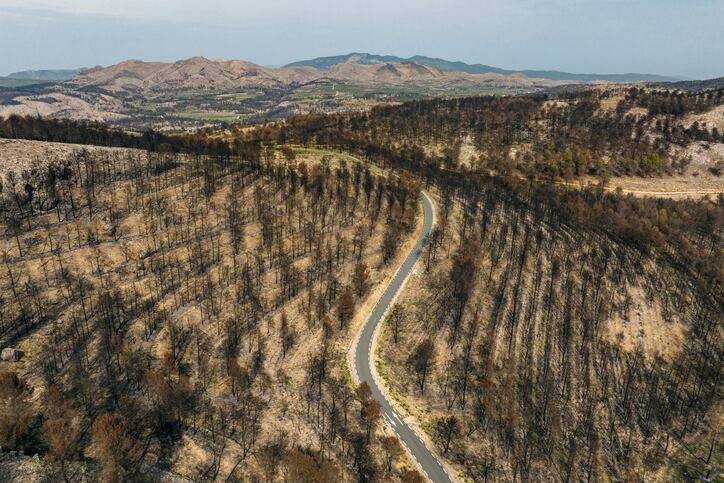 forest-_fire.jpg