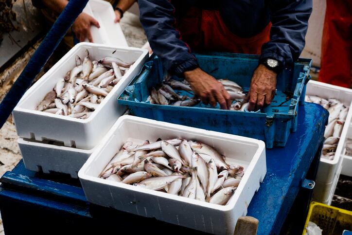 Hook, line and stinker: Iron, chromium, cadmium and nickel levels in Red Sea fish exceed recommended concentrations