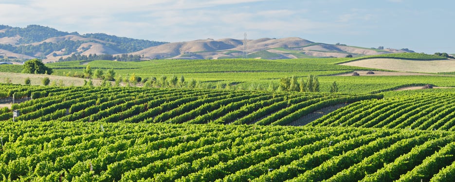napa-valley-getty-s-greg-panosian.jpg