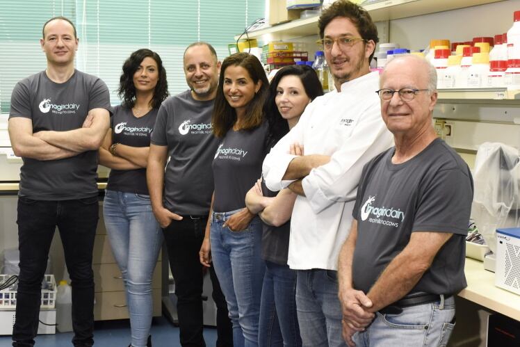 Imagindairy-team.jpg