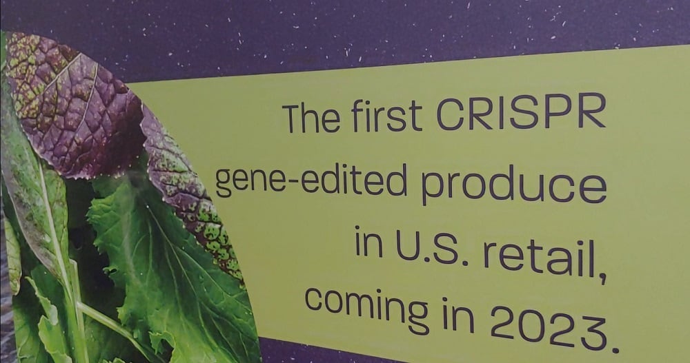 Pairwise readies CRISPR-edited Conscious Greens for sale in West Coast grocery stores