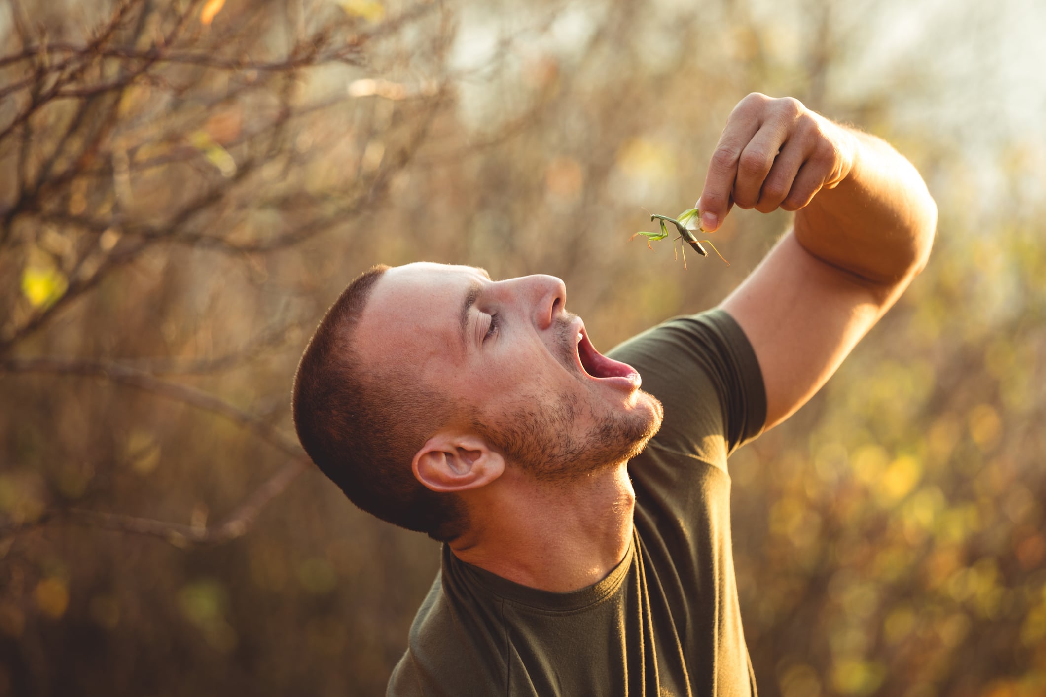 Man eats a Mantis in the forest