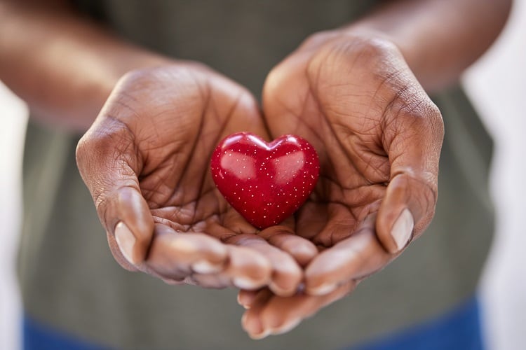Could good gut bacteria help prevent cardiovascular disease?