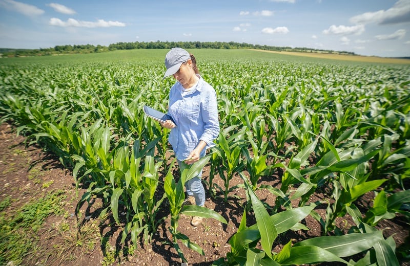From-fields-to-food-How-the-plant-based-industry-can-boost-regenerative-agriculture.jpg