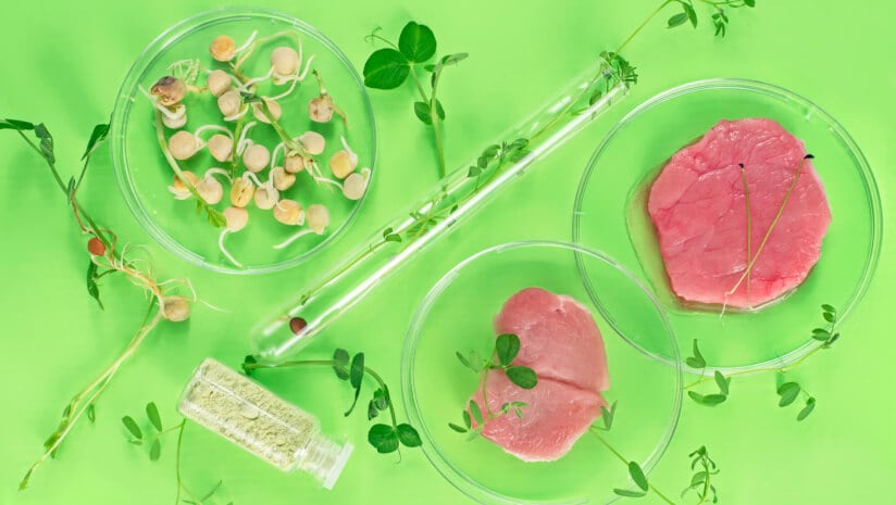 Meat and dairy reduction ‘vital’ to climate health – new report warns
