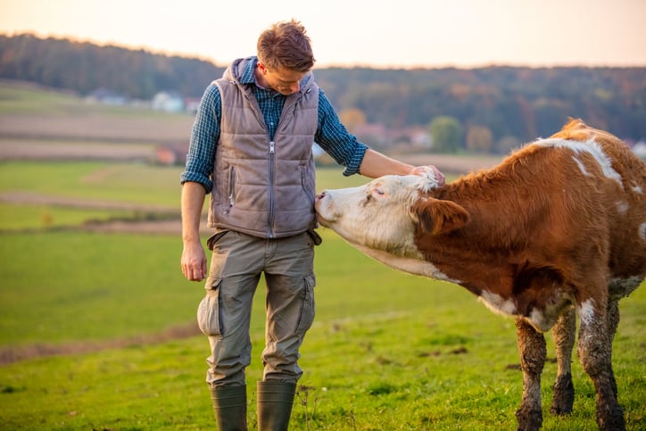 Poor data is hindering eco-label plans, group warns