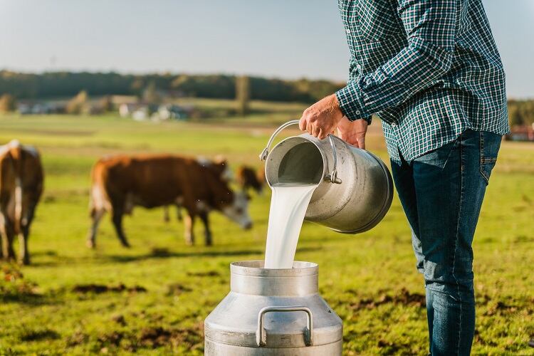 dairy-SimonSkafar.jpg