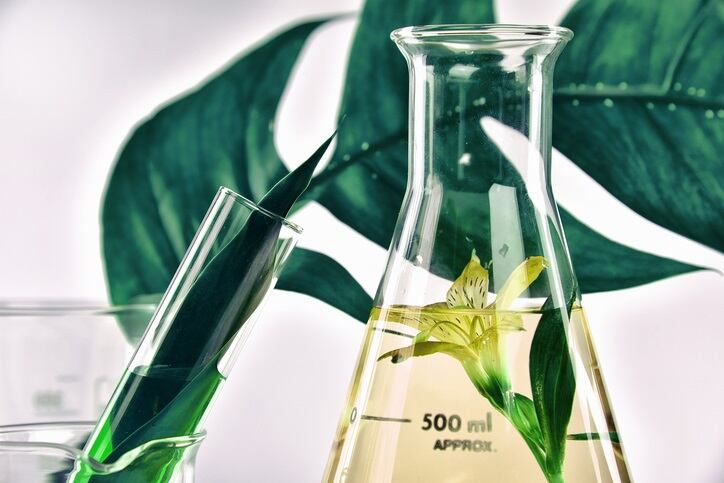 Sanat wants to 'lead the botanical marketplace in Europe' with Euro OTC tie-up