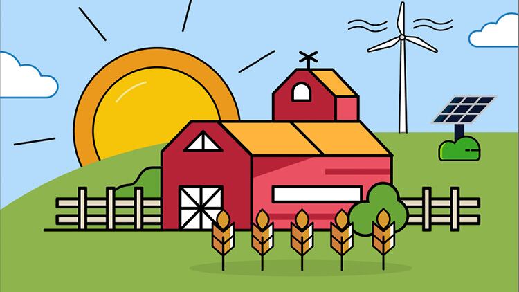 A Guide to Lowering Your Carbon Footprint on Flour Sourcing