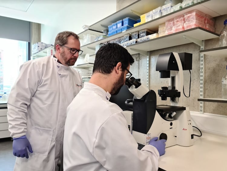 BSF plans to produce the UK’s first lab-grown meat following LSE listing: ‘Cutting into a lab-grown steak for dinner is definitely a reality’