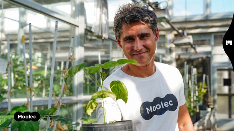 Proudly-genetically-modified-Moolec-molecular-farming-co-gears-up-to-launch-meat-proteins-from-GM-crops.jpg