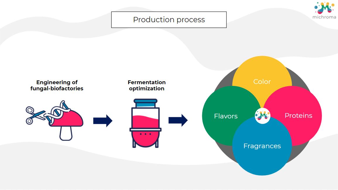 Production-process_-Michroma-002.png