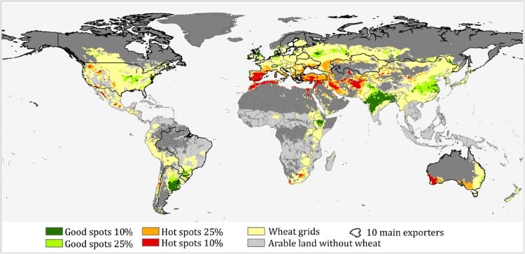 Wheat-climate-change.jpg